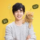 상상고양이 이미지