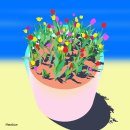 삼바 파고지 이미지