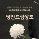 평안드림상조 이미지