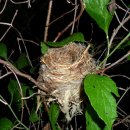 미자농장 이미지