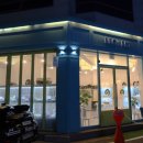 광주 고양이분양 브로스펫 이미지