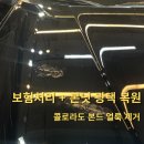 모터광택 | 동탄손세차 │ 콜로라도 본드 얼룩 보험처리 &amp; 본닛 광택 복원 후기