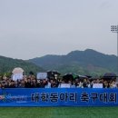 군민체육공원 인조5구장 이미지