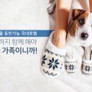 동행호텔 이미지