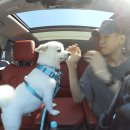 스카이개슬 이미지