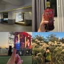 휴펜션&모텔 | 바다없이 남자친구랑 다녀온 1박2일 가을 부산여행/ 화명생태공원 갈대, 가성비호텔추천