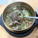 광주 롯백 옆, 맑고 시원한 소머리국밥 맛집 [금탑 소머리국밥] 살코기국밥 후기