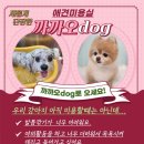 까까오 dog 이미지