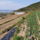 남해-312 이미지