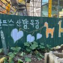 강소망목장 네이버블로그