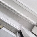 세컨브레인 이미지