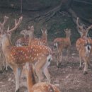 진주농장 이미지