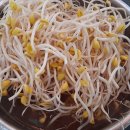 해술콩나물국밥 이미지