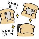 카페608