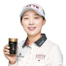 공들인홍삼