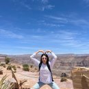 더 하찌 이미지