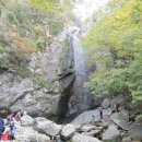 중모초교 이미지