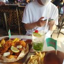 서귀고양이 이미지