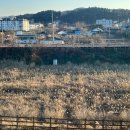 GS25 잠실잠전점 | 가평 자라섬 워케이션 센터 + 카라반 캠핑장 워케이션 후기