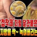 내장지방을 녹여야 건강하게 산다 이미지