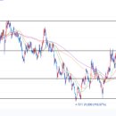 거미하이테크 이미지