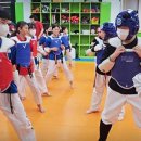 비룡키즈태권도장 이미지