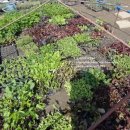 아우농장 이미지