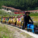 ㈜하이원추추파크 이미지