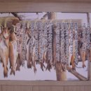 만찬코다리전문점 이미지