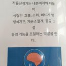 문덕스킨