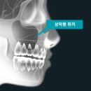 박치과 이미지