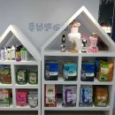 아라펫살롱 이미지