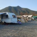 정이품송캠핑장 이미지