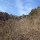 종량동 하산길 이미지
