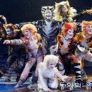 MEZZO : 앤드루 로이드 웨버 - 뮤지칼 &#39;캣츠&#39; 中, Memory (Live at the Grand Organ Hall) 이미지