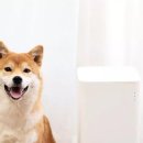 피더펫 이미지