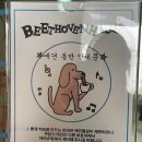 베토벤하우스 | 인스타 핫플 영종도 데이트코스 추천, 베토벤하우스 카페 솔직 후기