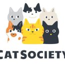 캣 소사이어티 이미지