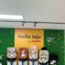 (주)해피렌트카 이미지