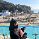 피크닉온더비치 이미지