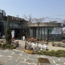 피자1989운정본점 | 파주 심학산 아이노스 본점 화덕피자 파스타 후기