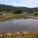군유산축산 티스토리