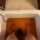 제일풍경채 맞은편 버스정류장 | 대구 현풍 빛의전신&amp;경락 : 엄청난 얼굴크기 변화! 얼굴축소 패키지 관리 솔직후기