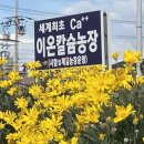 주)네이처이온에너지