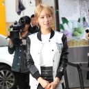 초아유통 이미지