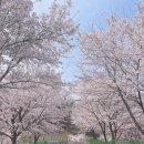 하개명마을회관 네이버블로그