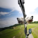 해운대 24시 동물의료원 이미지