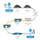 성산게스트하우스킴스캐빈 | 제주 올레길 1코스(231020)