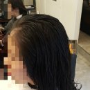 디토헤어살롱 - 송파구 | 디토헤어살롱
