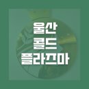 김원장면역테라피 이미지